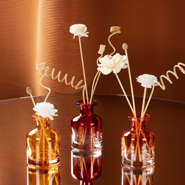 EU-Beauty 100Ml 50Ml Gradient Color round Aromatherapy Diffusers Glass Bottle Wood color Fragrance Reed Diffuser Bottle